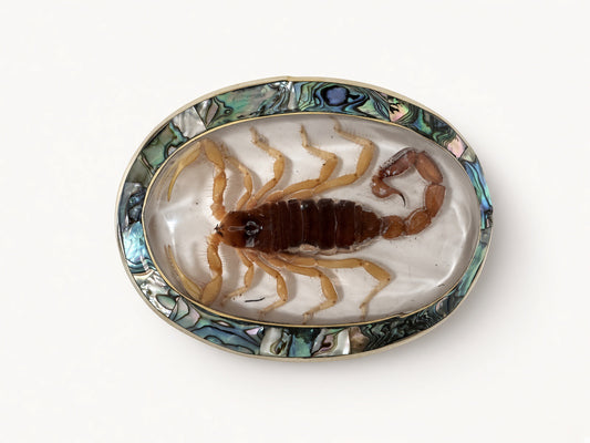 Scorpio Belt Buckle in White