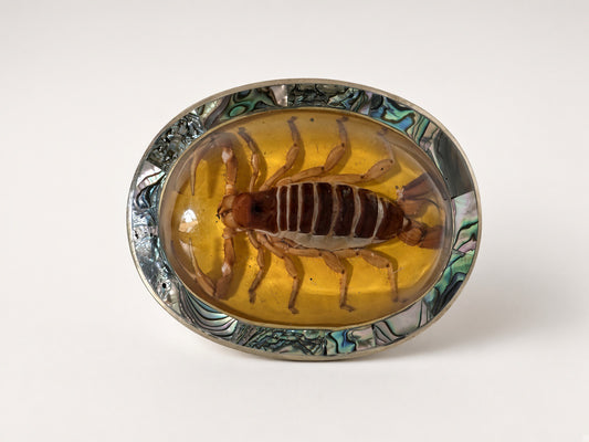Scorpio Belt Buckle in yellow