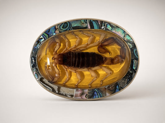 Scorpio Belt Buckle in yellow